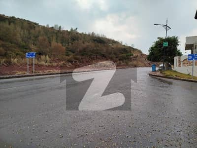 7.25 Marla Plot For Sale In Sector M (New Deal) | Main Boulevard Back Open | Easy Installments