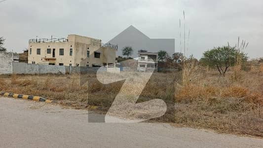 5 Marla Lower Portion For Rent