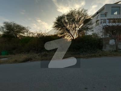 A Stunning Prime Location Residential Plot Is Up For Grabs In D-12/3