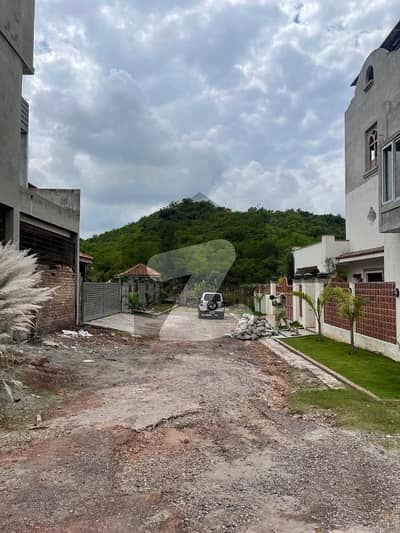 Plot For Sale Dreaming House Alerting