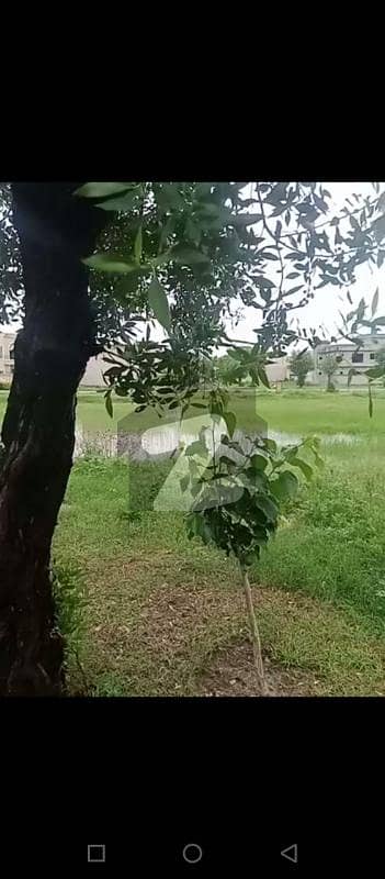 گرینڈ ایوینیوز ہاؤسنگ سکیم لاہور میں 10 مرلہ رہائشی پلاٹ 50.0 لاکھ میں برائے فروخت۔ گرینڈ ایوینیوز ہاؤسنگ سکیم لاہور میں 10 مرلہ رہائشی پلاٹ 50.0 لاکھ میں برائے فروخت۔