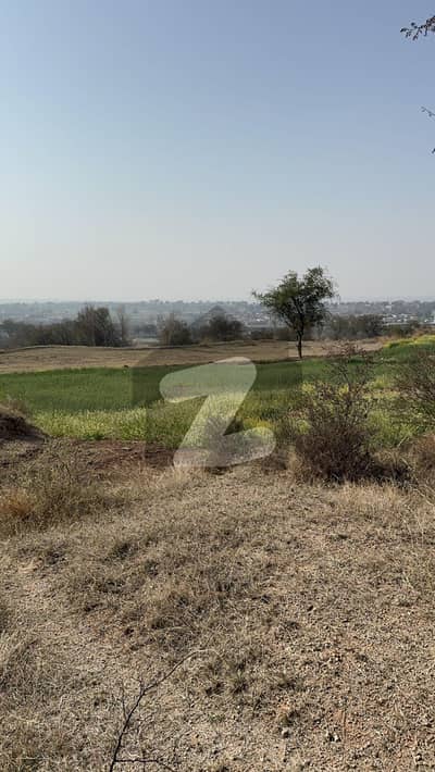 نیلہ دلہ انٹرچینج ایم-2 لاہور اسلام آباد موٹروے,چکوال میں 55 کنال زرعی زمین 1.65 کروڑ میں برائے فروخت۔