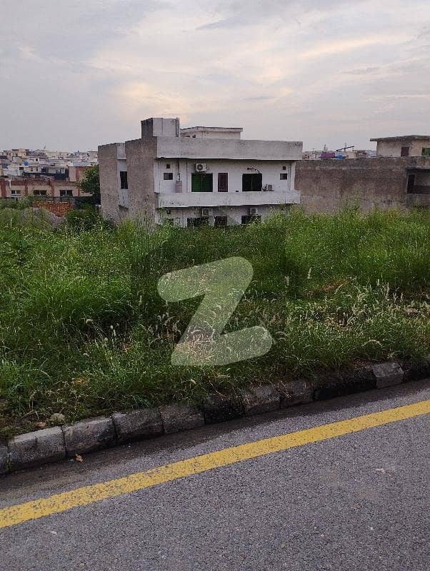 Natural Basement Plot In Reasonable Price Natural Basement Plot In Reasonable Price