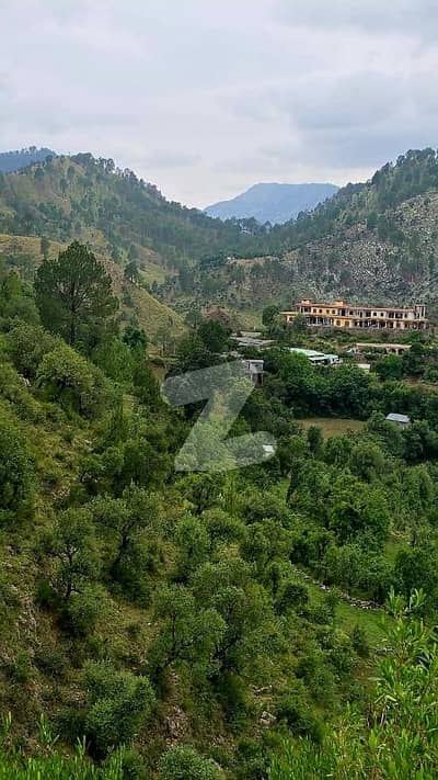 20 kanal zameen near pinecity society KPK.   Inteqal Fard complete  Single ownership  6lac Kanal = 1.2cr   Exchange/Adjustment possible