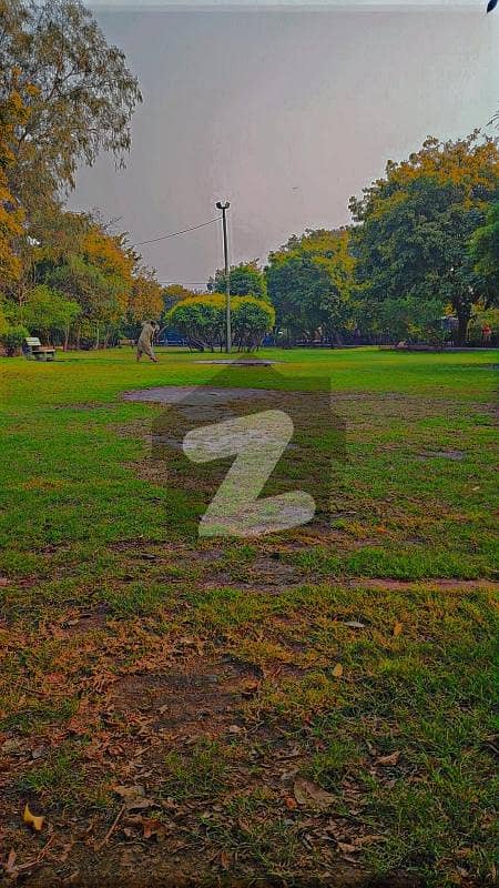 8 Marla Commercial Plot 8 Marla Commercial Plot