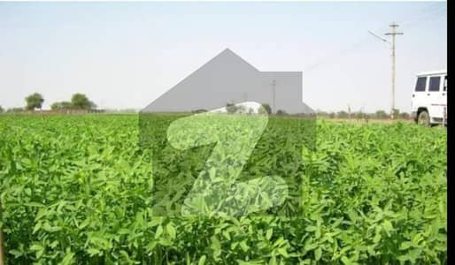 بھسن لاہور میں 1 کنال پلاٹ فارم 45.0 لاکھ میں برائے فروخت۔ بھسن لاہور میں 1 کنال پلاٹ فارم 45.0 لاکھ میں برائے فروخت۔