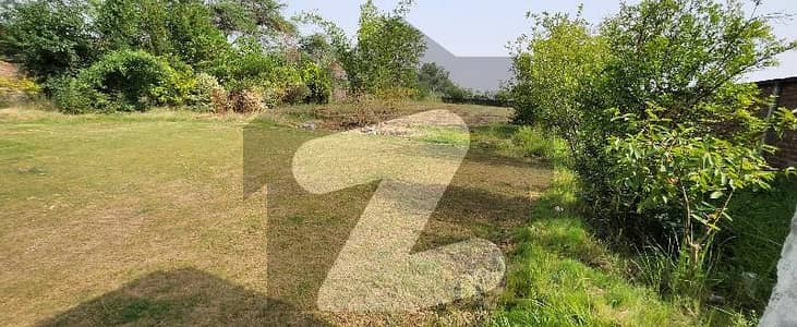 Future Phase 7 | 3-Acre 2 Kanal Farm House Land, Bedian Road, Karbath Village Best Opportunity For Invest | 1 To 1 Deal With Direct Owner