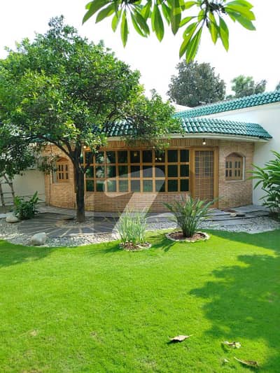 Beautiful House With Big Lawn