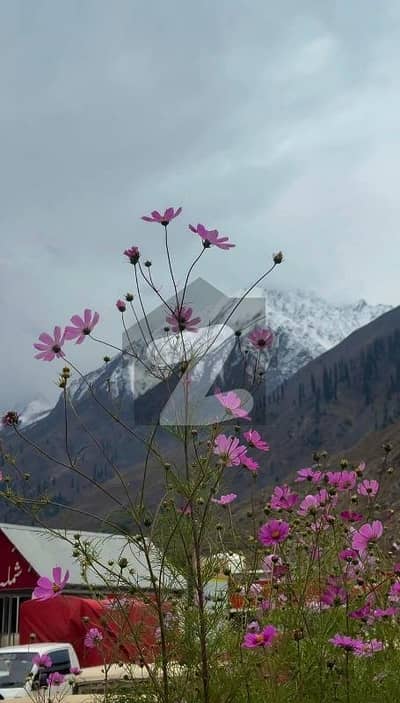 پارک ویو۔ بلاک ایف پارک ویو سٹی,اسلام آباد میں 5 مرلہ رہائشی پلاٹ 88.0 لاکھ میں برائے فروخت۔