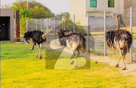 5 Marla Residential Urgent For Sale In New Lahore City Phase 3