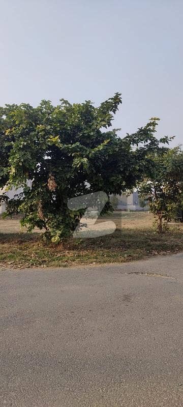 10Marla Reasonable Price option for sale