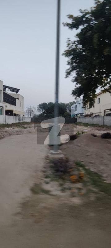 Hot Location Plot In Investor Rate For Sale