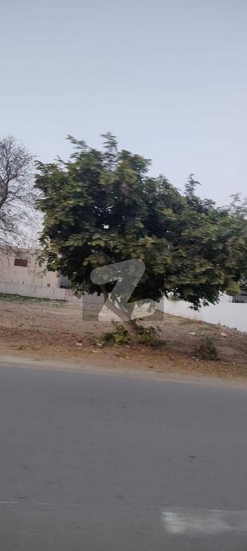 5Marla Low Price Option For Sale In Prism