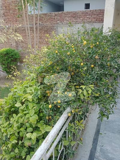 ایم اے جناح روڈ ملتان میں 4 کمروں کا 2 کنال مکان 5.5 کروڑ میں برائے فروخت۔