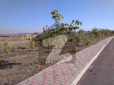 125sq yd Plot Available FOR SALE at Precinct-24. Top Heighted Location at Investor Rates.