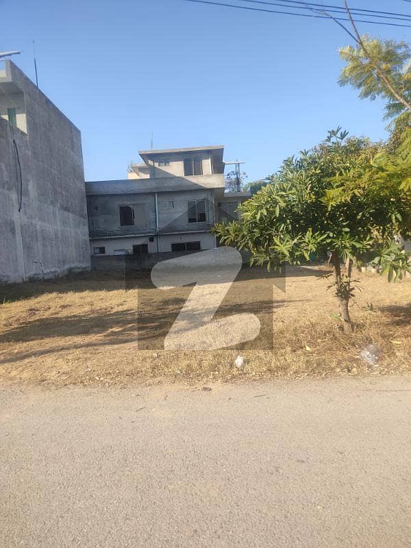 7 Marla Plot Sale 7 Marla Plot Sale