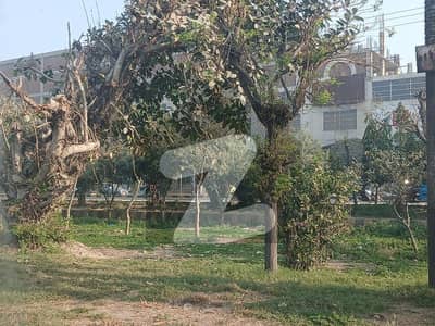 19 Marla Plot Near Layelpur Galleria