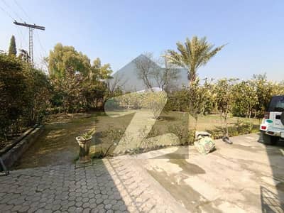 G 10 Mind Blowing Location Well Maintain Ground Portion With Extra Land For Rent