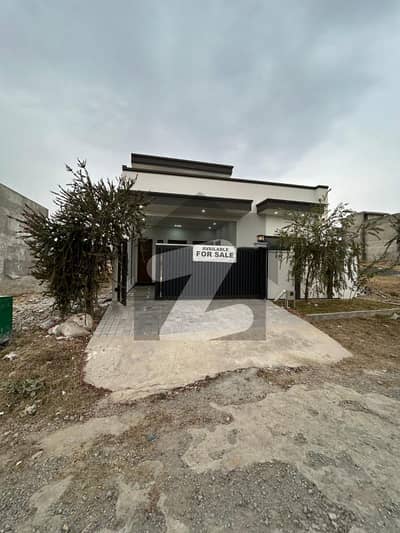 8 Marla ( 30*60 In Block E ) Brand New Single Storey House Available. For Rent In Multi Gardens Islamabad.