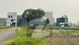 19 19