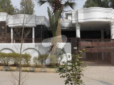 Single Story 7 Marla Available for Rent in Al-Haram City