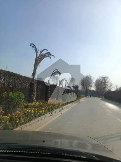 Looking For A Residential Plot In Farmers Farms Lahore