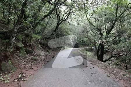 مری رسارٹس مری میں 16 مرلہ رہائشی پلاٹ 60.0 لاکھ میں برائے فروخت۔