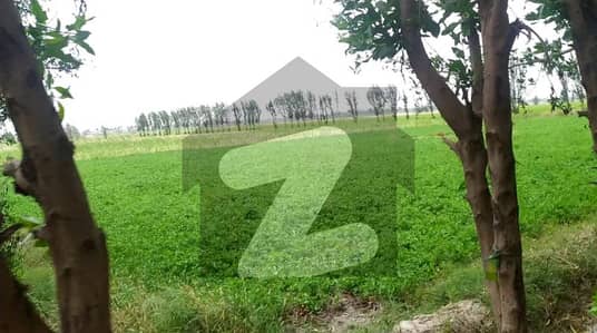 VIP 25 acre fully Agriculture land available for sale nearby samundri Road Faisalabad