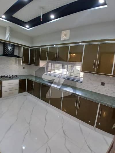 Brand New House For Rent VIP Location Ready To Shift Real Pics Hot Calas House Brand New House For Rent VIP Location Ready To Shift Real Pics Hot Calas House