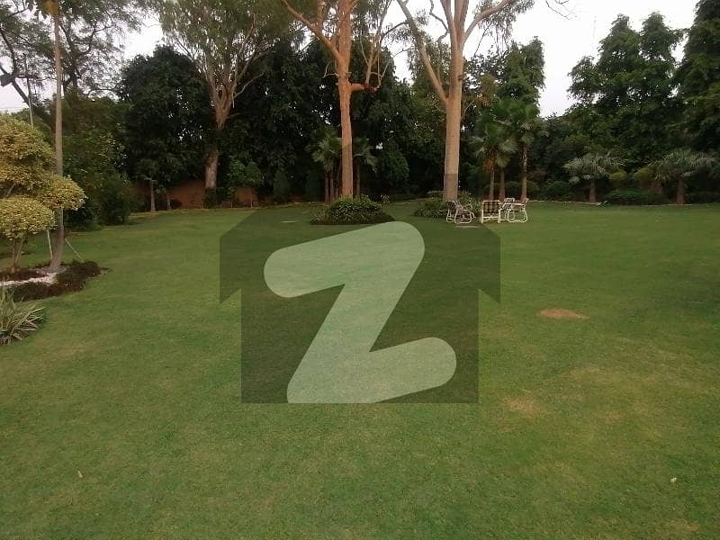 Plot for sale Plot for sale