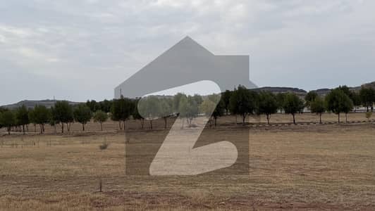 Dha Phase 6 1465Open Verified Certificate For Sale Sector C