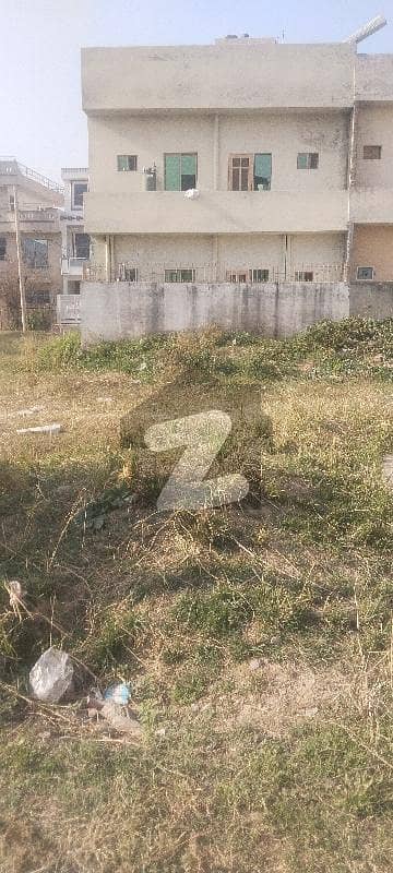 Sun Face Corner Option Plot