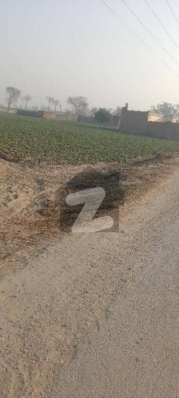 Kasur to depalpur road 19 kanal land for sale .