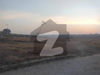 Blue Bell 8 Marla Possession Plot