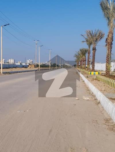 150 ft street fasing Gandhara society