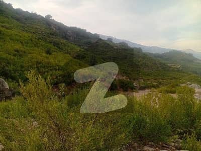 20 Kanal Scenic Land for Sale in Khanpur, District Haripur Ideal for Farmhouse, Hotel & Resort Investment