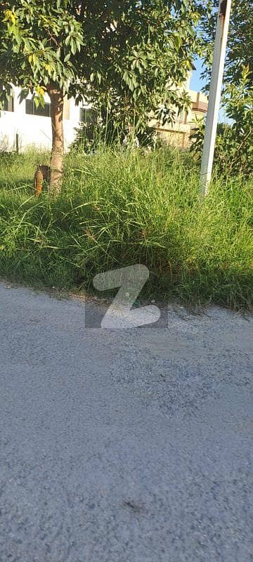 گلبرگ گرینز ۔ بلاک بی گلبرگ گرینز,گلبرگ,اسلام آباد میں 4 کنال رہائشی پلاٹ 9.0 کروڑ میں برائے فروخت۔ گلبرگ گرینز ۔ بلاک بی گلبرگ گرینز,گلبرگ,اسلام آباد میں 4 کنال رہائشی پلاٹ 9.0 کروڑ میں برائے فروخت۔