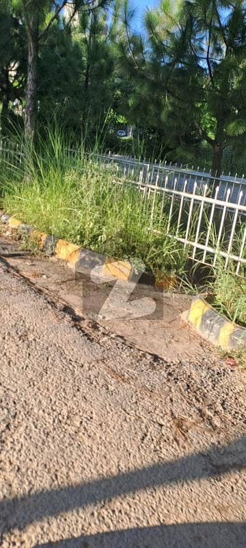 گلبرگ گرینز ۔ بلاک بی گلبرگ گرینز,گلبرگ,اسلام آباد میں 4 کنال رہائشی پلاٹ 4.5 کروڑ میں برائے فروخت۔ گلبرگ گرینز ۔ بلاک بی گلبرگ گرینز,گلبرگ,اسلام آباد میں 4 کنال رہائشی پلاٹ 4.5 کروڑ میں برائے فروخت۔