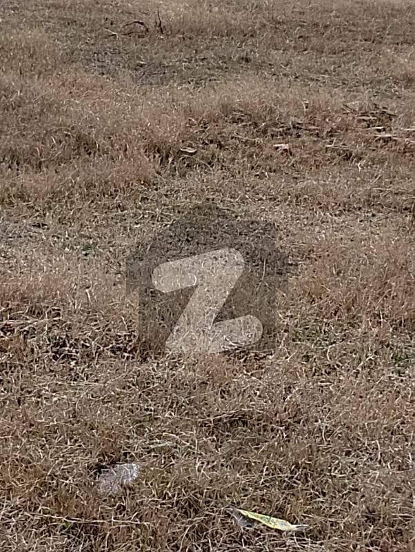 7 Marla Plot for Sale In Kohistan Enclave 7 Marla Plot for Sale In Kohistan Enclave