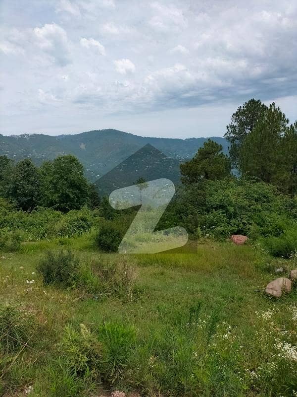 Level plot for Sale Level plot for Sale