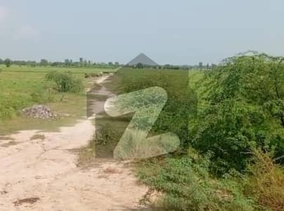 8 Kanal Land at Main Sue Asal Road
