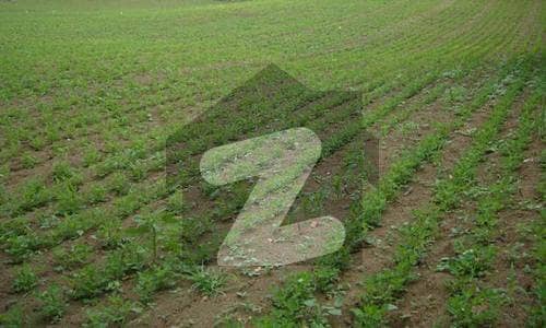 24 Kanal Land at Main Sue Asal Road