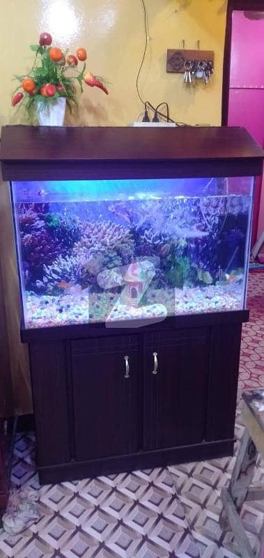 Gulistan-e-Jauhar - Block 19 Flat Sized 900 Square Feet Is Available