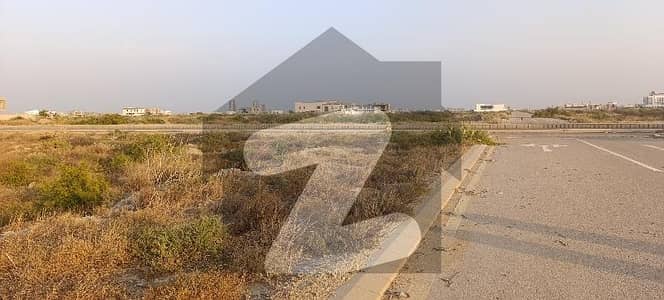 PENINSULA COMMERCIAL 100 YARDS PLOT