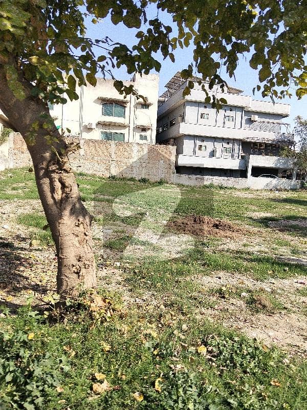 BEST LOCATION ONE KANAL PLOT AVAIL FOR SALE BEST LOCATION ONE KANAL PLOT AVAIL FOR SALE