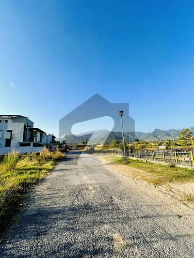 A Great Choice For A 3200 Square Feet Residential Plot Available In D-12/2