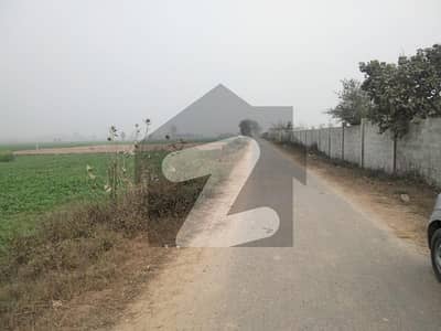 8 Kanal Corner Agricultural Land for Sale on Bedian Road Carpeted Road & Electricity Available