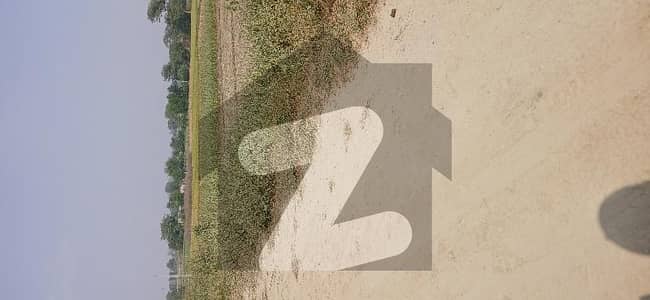 بیدیاں روڈ لاہور میں 16 کنال زرعی زمین 8.0 کروڑ میں برائے فروخت۔