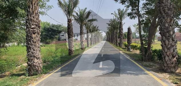 2 Kanal Farmhouse Plot for Sale Sofia Farm Society, Bedian Road