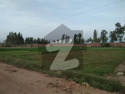 سوئے-اے-اصل روڈ لاہور میں 24 کنال زرعی زمین 3.5 کروڑ میں برائے فروخت۔